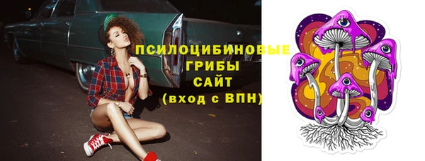 не бодяженный Лабытнанги