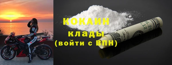 бошки Ладушкин