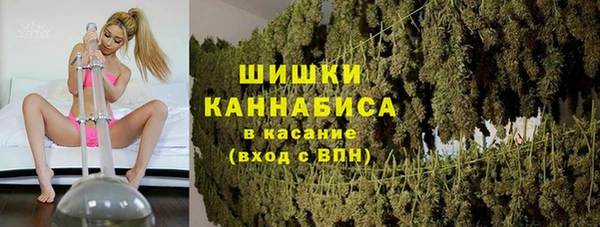 ECSTASY Лагань