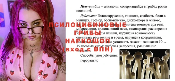 бошки Ладушкин