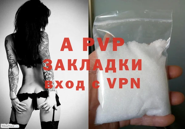 ECSTASY Лагань