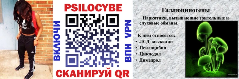 Псилоцибиновые грибы Magic Shrooms  сколько стоит  Котово 